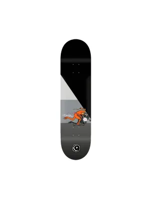 Foundation Templeton Pushi