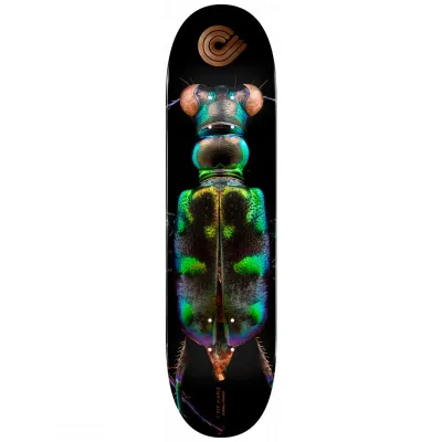 Powell Peralta Biss Tiger Beetle