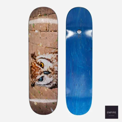 Fucking Awesome Owl Photo Jason Dill