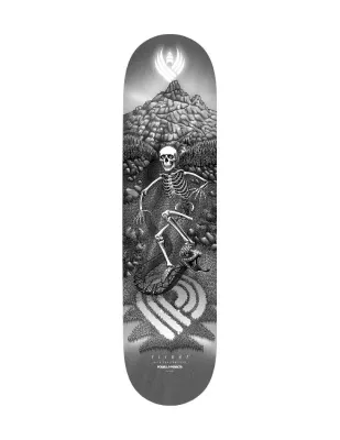 Powell Peralta Flight Dan Corrigan Chess Skullsl ?
