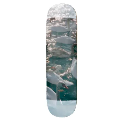 Rassvet Val Bauer X Sasha Mademuaselle Swan