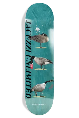 Jacuzzi Zander Mitchell Geese