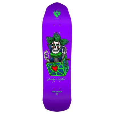 Powell Peralta Flight Chris Hiett Mini Skull