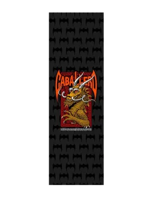 Lija Powell Peralta Steve Caballero Street ?
