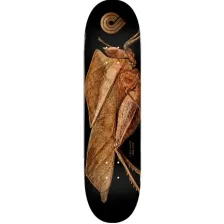 Powell Peralta Biss Leaf Grasshopper