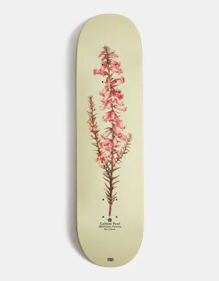 Pass Port Callum Heath Reissue