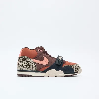 Arts & Rec X Nike Sb Air Trainer 1 Mid (limestone Quartz-earth-dusty Peach)