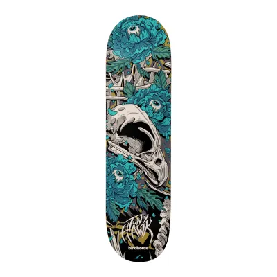 Birdhouse Tony Hawk Tillbrook