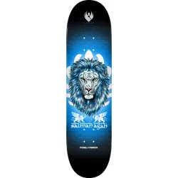 Powell Peralta Flight Salman Agah Lion Iii