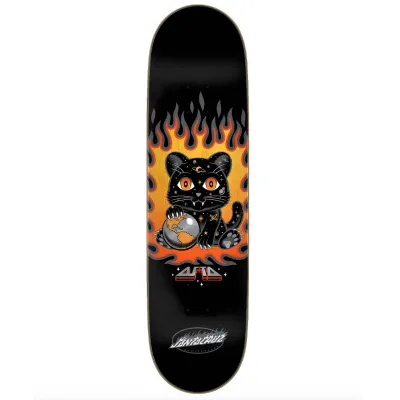 Santa Cruz Skateboards Asta Space Kitten Twin Pro