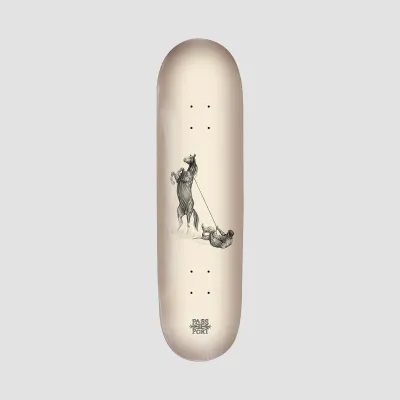 Passport Horses By Jesse Olsen High Diver