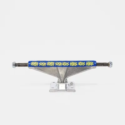 Venture 5.6 V Light Vincent Touzery Polished