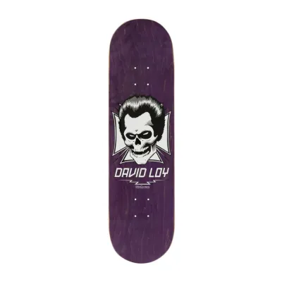 Birdhouse Pro Loy Skull
