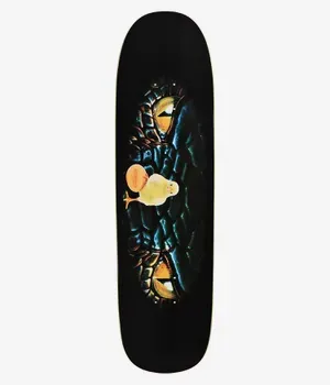 Alltimers No Body Move Cruiser