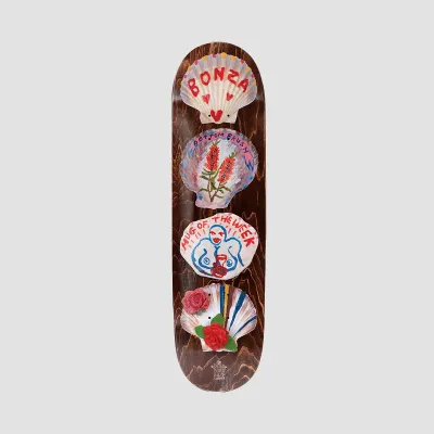 Passport Molly Turner Series Shells