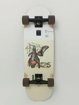 Cruiser Globe Shortcut