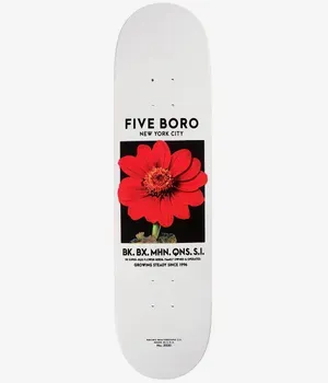 5boro Flower Seed