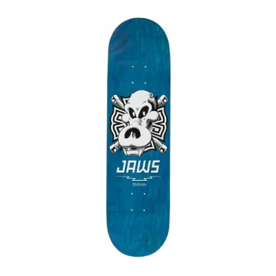 Birdhouse Pro Jaws Skull