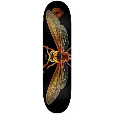 Powell Peralta Levon Biss Potter Wasp Shape 247