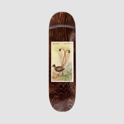 Passport Pro Series Dean Lyrebird