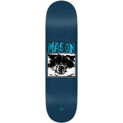Real Mason Silva Vicious