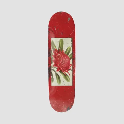 Passport Tin Floral Series Waratah