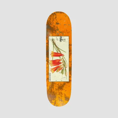 Pass-port Tin Floral Series Bells