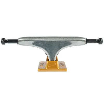 Tensor Alloys Raw/gold 5.25 -set Of 2-