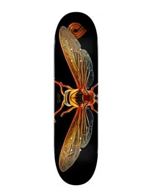 Powell Peralta Biss Potter Wasp ?
