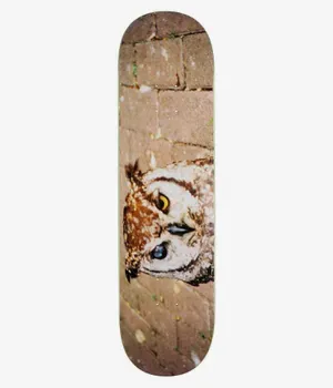 Fucking Awesome Dill Owl Photo