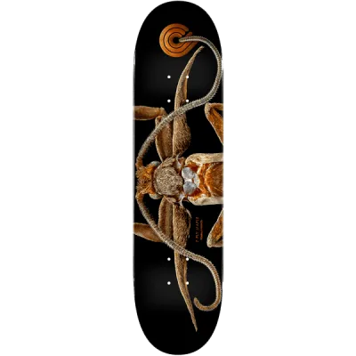 Powell Peralta Ps Biss Marion Moth