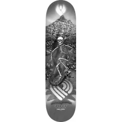 Powell Peralta Flight Jm Duran Slidewinder 5 .