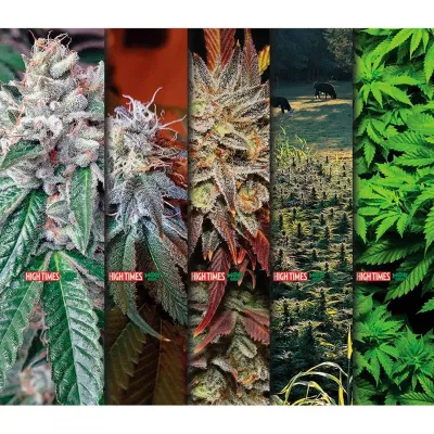 Lixa Mob Grip High Times Magazine Weed