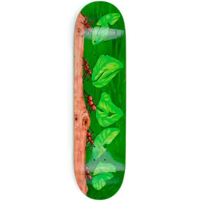 Snack Leafcutter