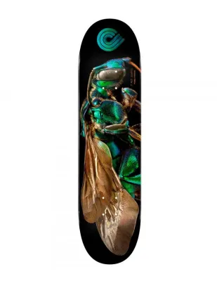 Powell Peralta Biss Cuckoo Bee