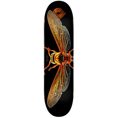 Powell Peralta Biss Potter Wasp