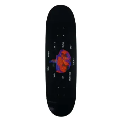 Element E.s.p. Cortex