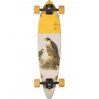 Decks Globe Cruiser Pintail Falcon 34