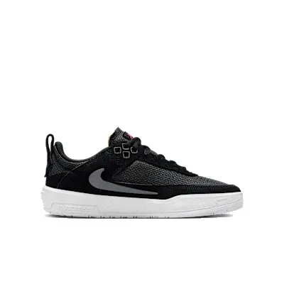 Nike Sb Day One Gs / Cool anthracite- Alchemy