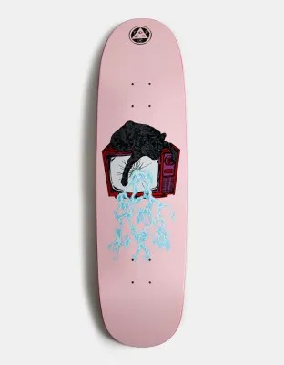 Welcome Nora Static On Sphynx