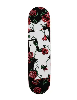 Dgk Bloom