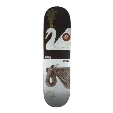 Ruben Spelta Swans Zoo