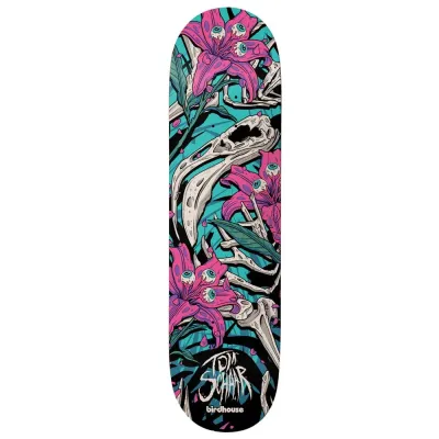 Birdhouse Skateboards Tom Schaar Tillbrook
