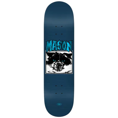 Real Mason Vicious