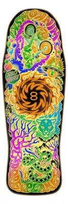 Santa Cruz Winkowski Dope Planet Two Shaped