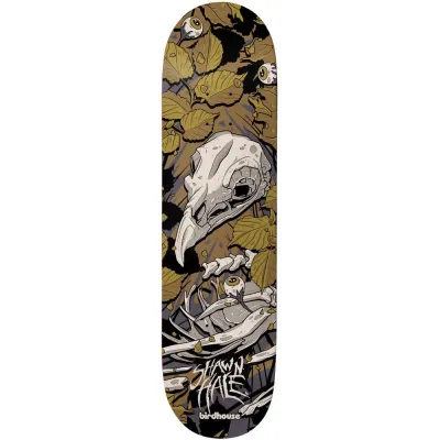 Birdhouse Skateboards Shawn Hale Tillbrook