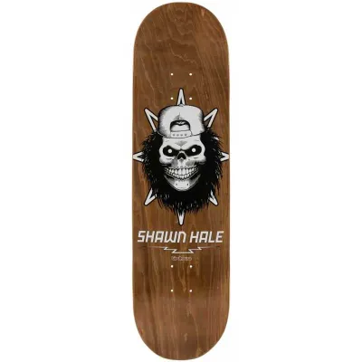 Birdhouse Jaws Skull