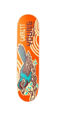 Roger Spring Autumn Bird Garrett Young High Concave