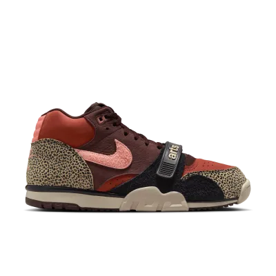 Nike Sb Air Trainer 1 Qs Art & Rec Limestone / Quartz / Earth
