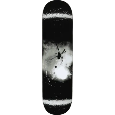 Fucking Awesome Spider Photo